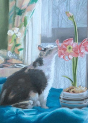 portrait of cat with flower