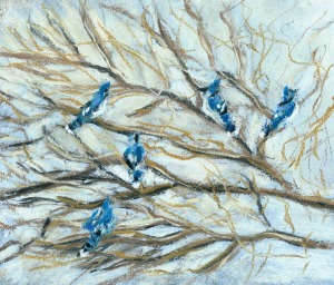 pastel sketch of blue jays on tree branches