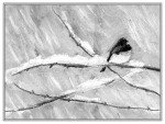 sketch of junco on snowy branch