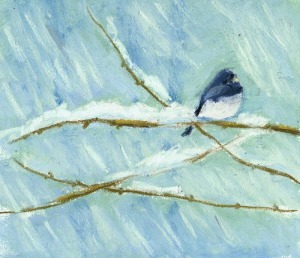 pastel sketch of junco on snowy branch