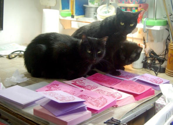 three black cats with printed note cards