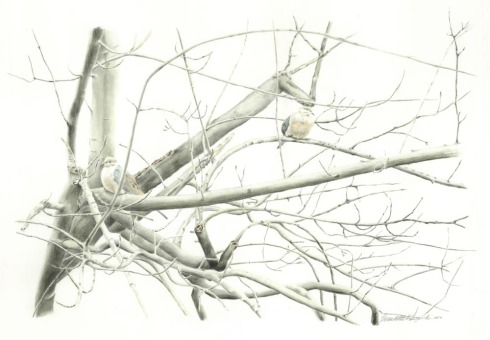 pencil drawing of doves in bare tree