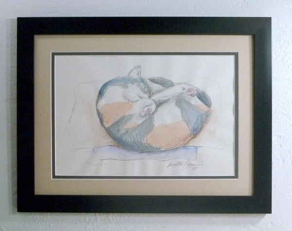 framed pencil and watercolor sketch of cat