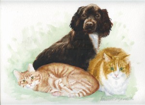 portrait of two cats and a dog