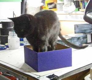 Mimi inspects the keepsake box prior to it being offered for sale.